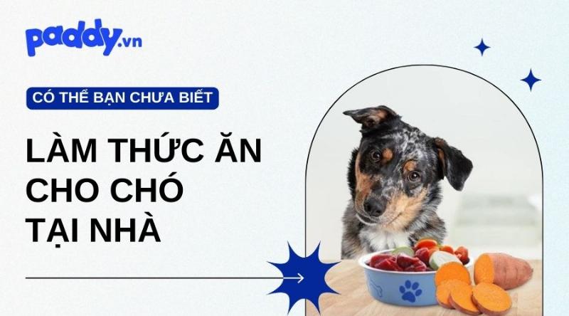 Các loại thịt, rau củ và ngũ cốc tươi ngon an toàn dùng để nấu thức ăn cho chó tại nhà.